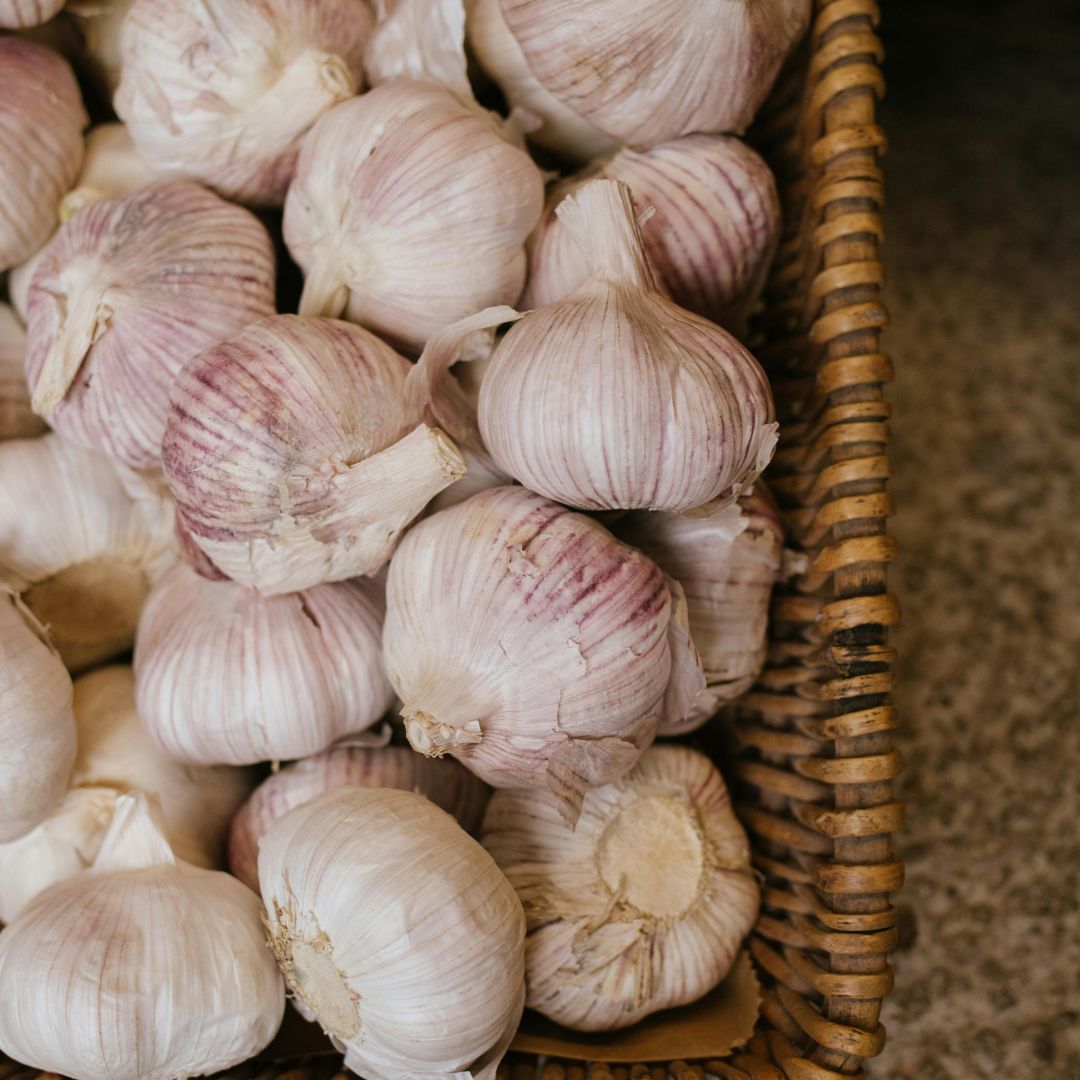 Ail frais تومة طرية