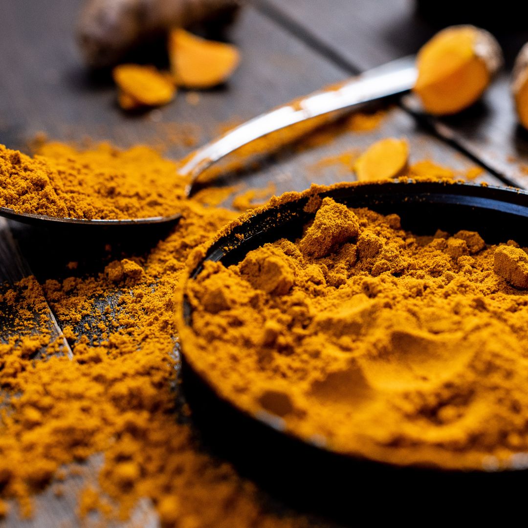 Curcuma moulu خرقوم مطحون