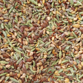 Mélange de graines خليط زرارع الحسوة